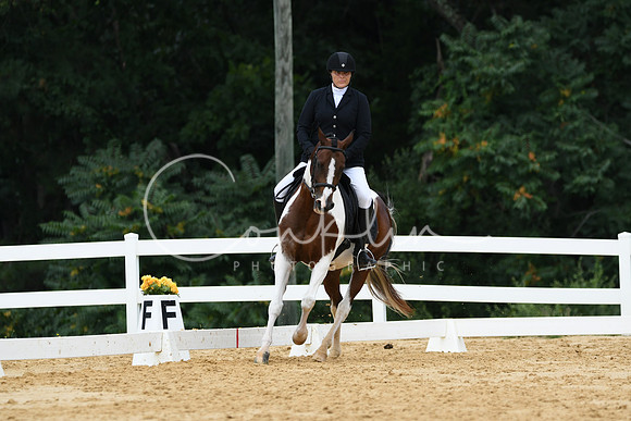 HSM_0447