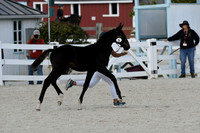 HSM_5286