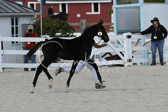 HSM_5286