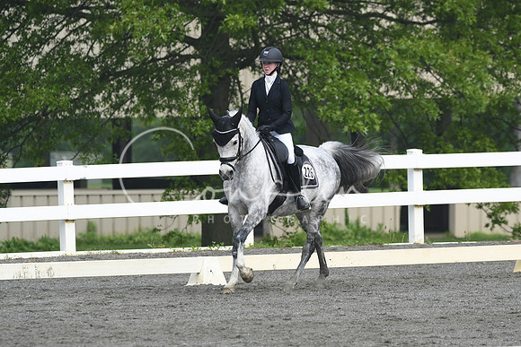 HSM_0931