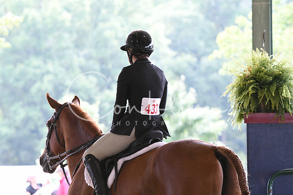 HSM_2988