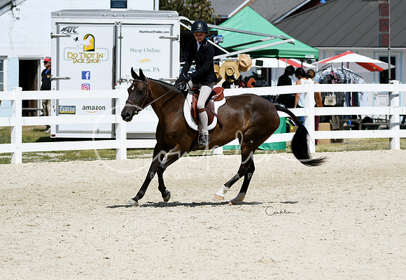 HSM_3030-1