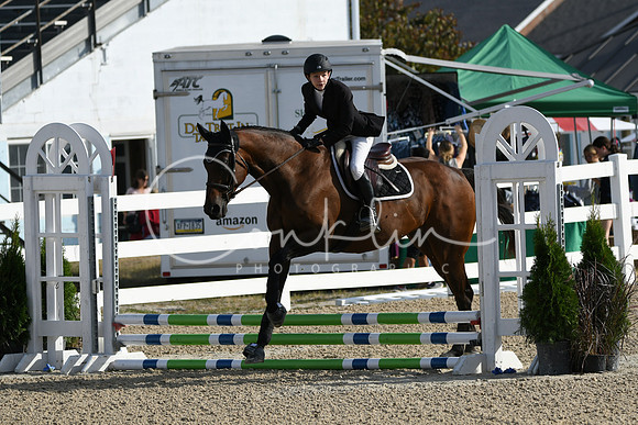 HSM_1434