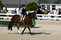 HSM_4264