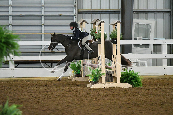 HSM_5187