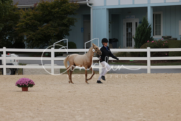 HLK_2014
