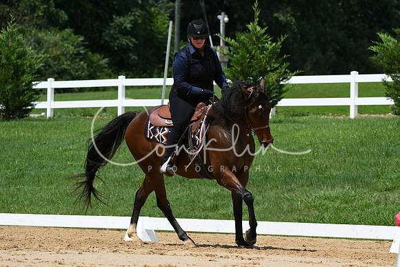 HSM_0587