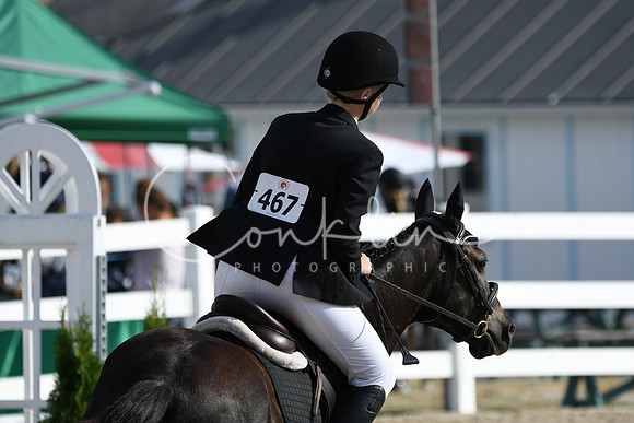 HSM_1504