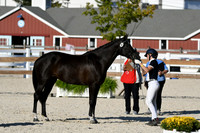 HSM_5446