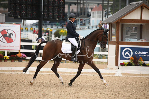 BW240834