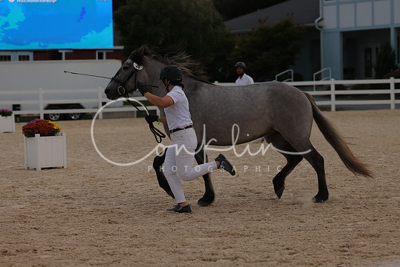 HLK_2418