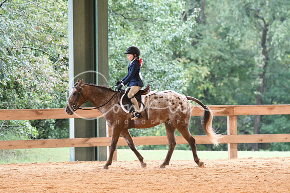HSM_4453
