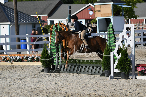 HSM_4462