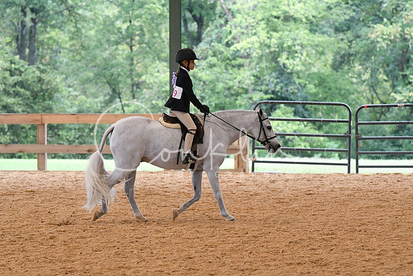 HSM_4952