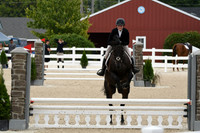 HSM_2766