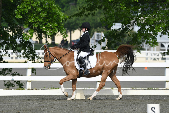HSM_1042