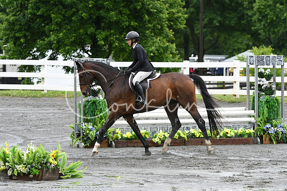 HSM_3577