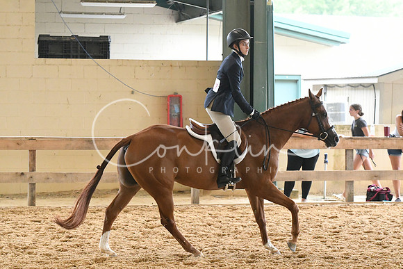 HSM_1302