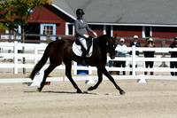 HSM_6811
