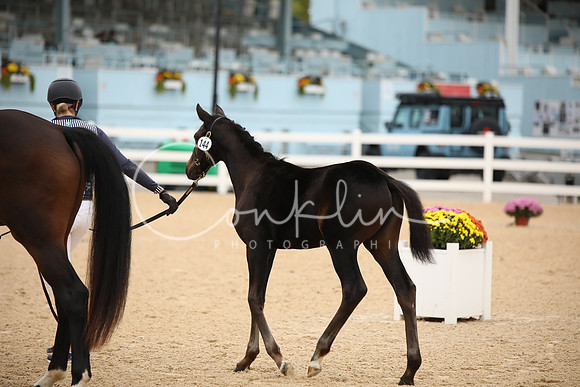 BW240111