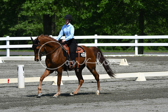 HSM_2738
