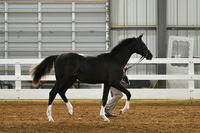 HSM_3622