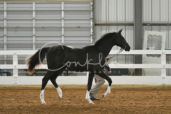 HSM_3622
