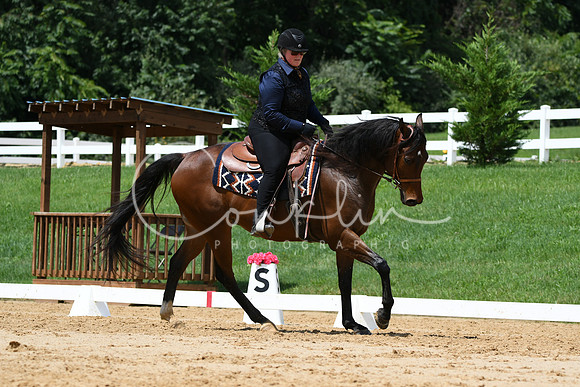 HSM_0584