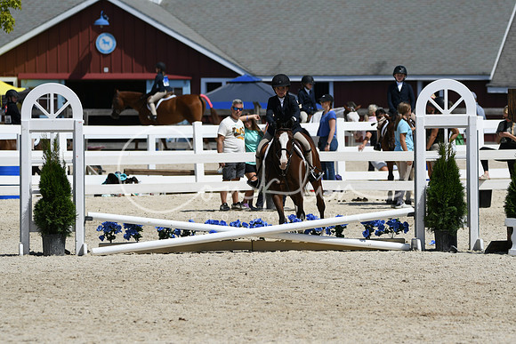 HSM_2956