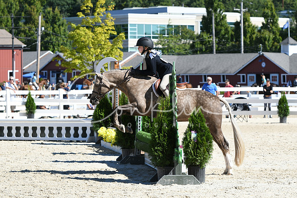 HSM_2645