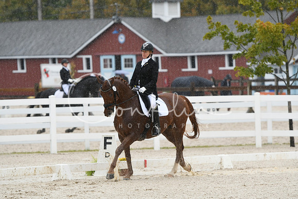 HSM_0380