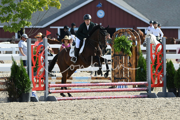 HSM_1523