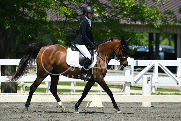 HSM_1419