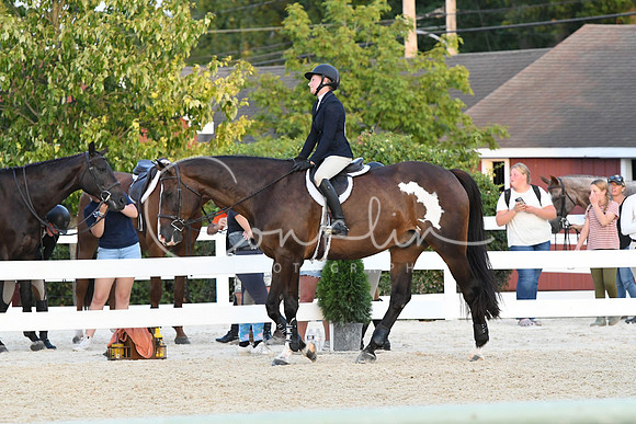 HSM_0358
