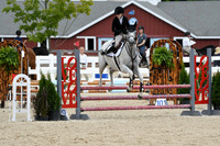 HSM_2938