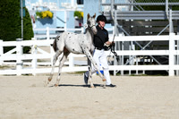 HSM_4447
