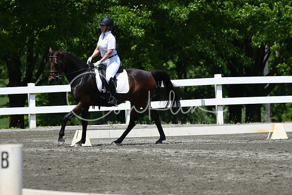 HSM_1995