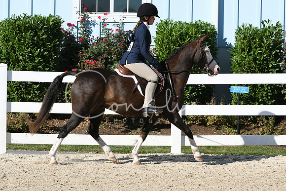 HSM_2296