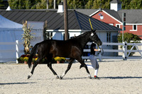 HSM_5453
