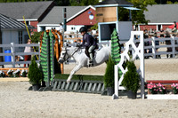 HSM_4195