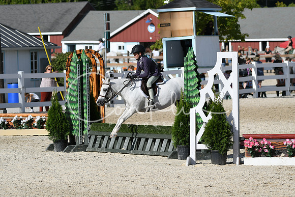 HSM_4195