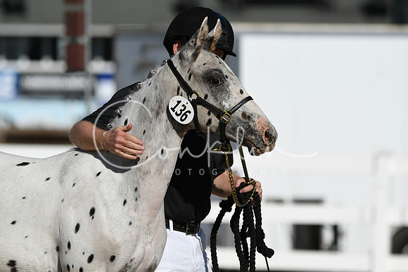 HSM_4449