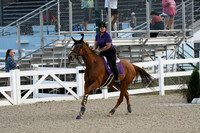 HSM_0841