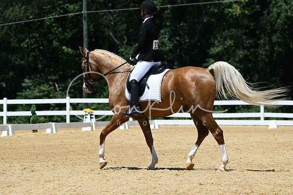HSM_1410