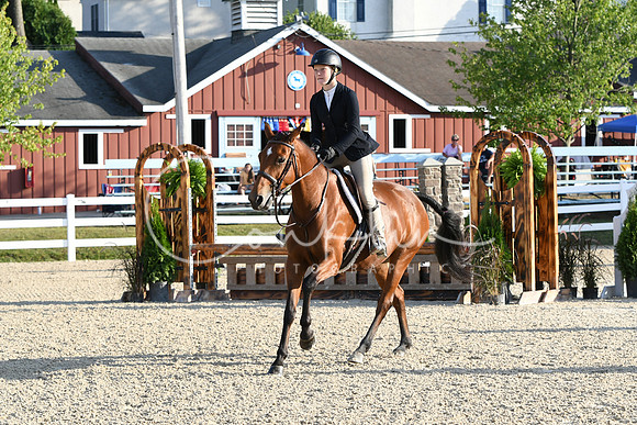 HSM_0083