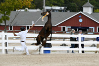 HSM_6188