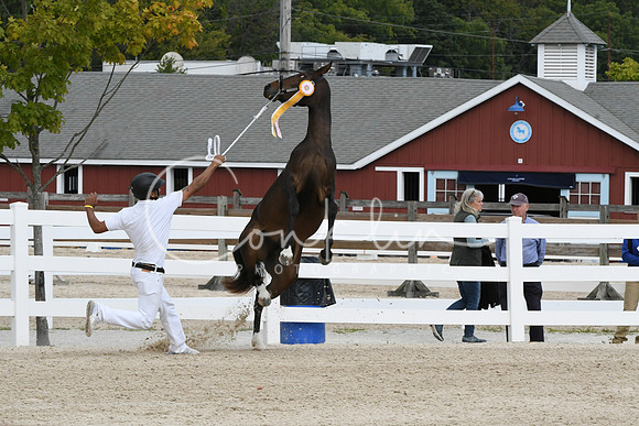 HSM_6188