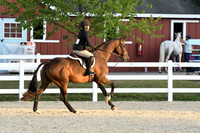 HSM_0278