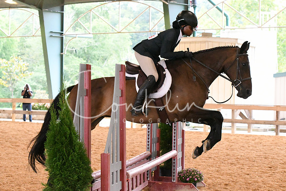 HSM_2011