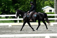 HSM_2884